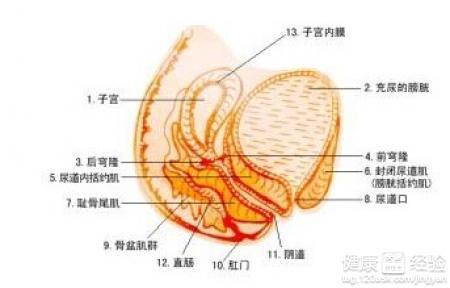 男性得了霉菌的症状：男性得了霉菌的症状有哪些？这些信号千万别忽视！