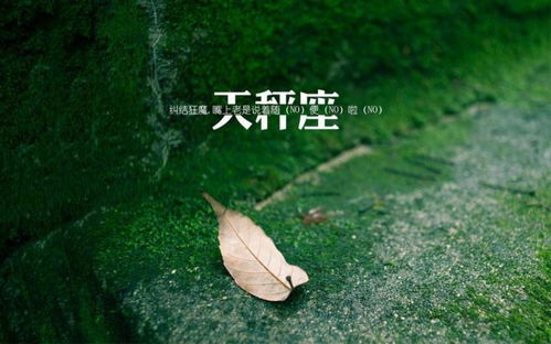 天秤座真正放手的表现：天秤座真正放手的表现，无声的告别与优雅的转身