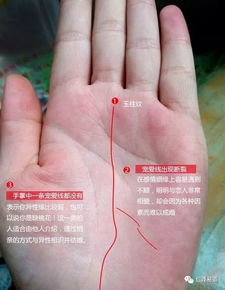 手相姻缘线短代表什么女：手相中的姻缘线短，代表什么？女性手相解读与情感启示