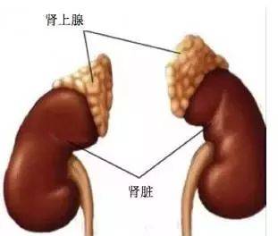 泌尿外科看男性功能吗：泌尿外科看男性功能吗？答案在这里！