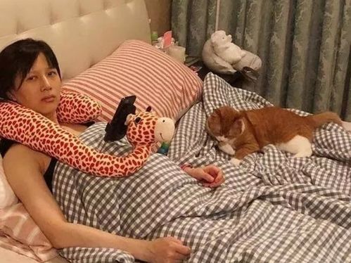 孕妇梦见猫咬自己：梦中惊魂，孕妇梦见猫咬自己背后的秘密