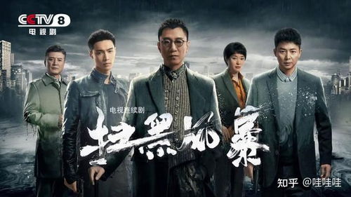 扫黑风暴（扫黑风暴剧情介绍）