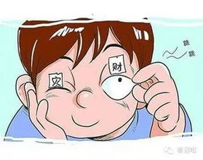 梦见屎尿：梦见屎尿，一场荒诞又真实的梦境之旅