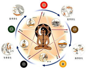 星座命盘配对：星座命盘配对，科学解码与情感共鸣的双向奔赴