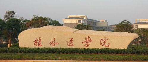 桂林医学院（桂林医学院是一本还是二本）