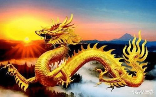 属龙人下周运势查询：龙腾九天，龙年运势指南，属龙人下周运势查询