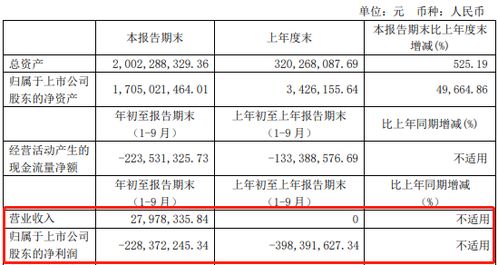 泽润新能(301636.SZ)：第三季度净亏损385.61万元