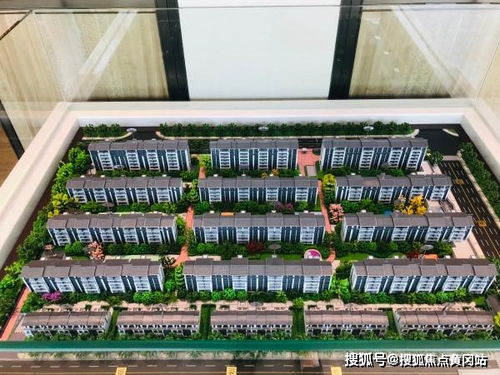 属龙的下周运势：属龙的下周运势，揭秘幸运与挑战，助你把握机遇！