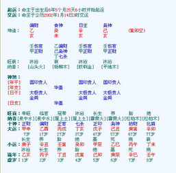 八字伤官查询表:八字伤官查询表,精准定位命理密码,解锁个人运势与人生方向 八字伤官查询表:八字伤官查询表,精准定位命理密码,解锁个人运势与人生方向