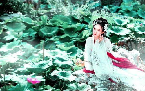 樱花影院电视剧电影免费观看（樱花影院电视剧电影免费观看中文字）