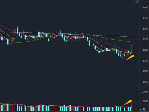 半夏投资李蓓:地产或迎10年上升期,盈利将涨10倍 半夏投资李蓓:地产或迎10年上升期,盈利将涨10倍
