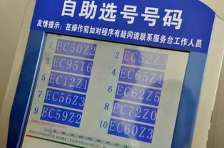 免费查车牌号码测吉凶：免费查询车牌号码吉凶，解码数字玄学与行车运势的趣味指南