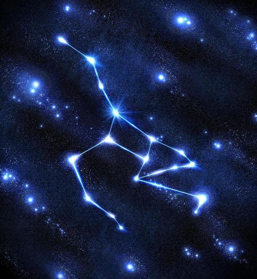 第一星座网2024年运势：2024年星座运势大揭秘，你的幸运之年还是挑战之年？