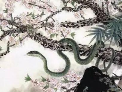 2022年属蛇的重大贵人：2022年属蛇人贵人运大爆发，三大贵人助力事业家庭双丰收