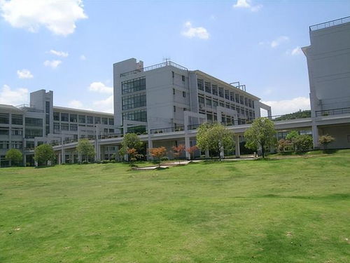 网络教育平台（石河子大学网络教育平台）