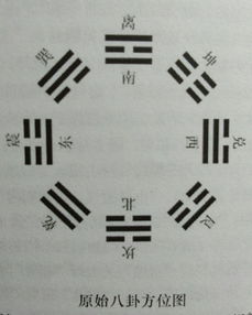 文王六十四卦ooooo：文王六十四卦，解码中华文明的哲学密码