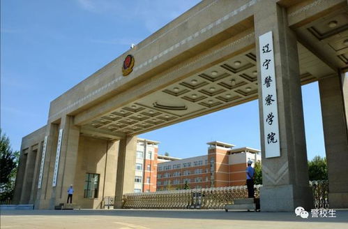 河南司法警官职业学院（河南司法警官职业学院2025录取线是多少）