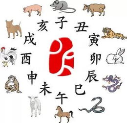 1994年五行属什么命：1994年五行属什么命？甲戌狗年出生的命理解析与运势建议