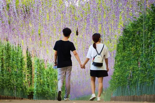 姻缘大人请留下免费观看:姻缘大人请留下,一场关于爱情与缘分的免费观看 姻缘大人请留下免费观看:姻缘大人请留下,一场关于爱情与缘分的免费观看