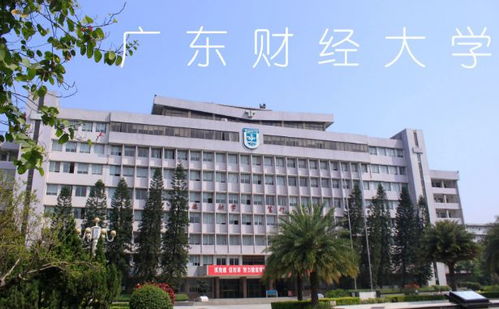 广东财经大学女生坠楼身亡事件（广东财经大学的校草）