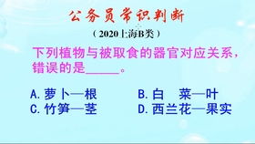 咋样知道和女朋友的姻缘:姻缘何在?如何判断你和女朋友的未来? 咋样知道和女朋友的姻缘:姻缘何在?如何判断你和女朋友的未来?