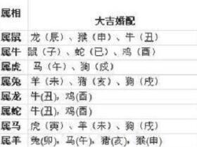 属相婚配可信吗：属相婚配，传统文化中的智慧与科学视角下的理性思考