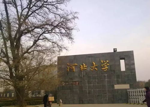 河北大学（河北大学文学院）
