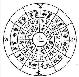 1978年五行属什么：1978年五行属土，天干地支与性格运势全解析