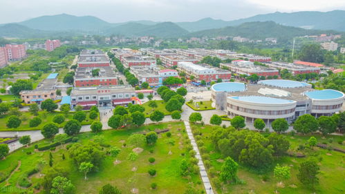 福建最好二本大学（福建最好的二本大学）