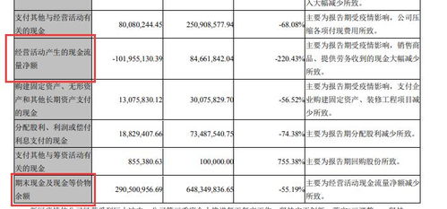 威尔高:2025年三季度报告 威尔高:2025年三季度报告