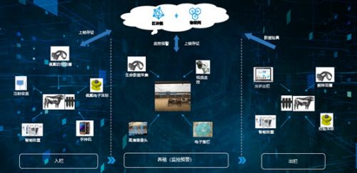 九易算命网：九易算命网，传统命理智慧与数字化服务的融合创新