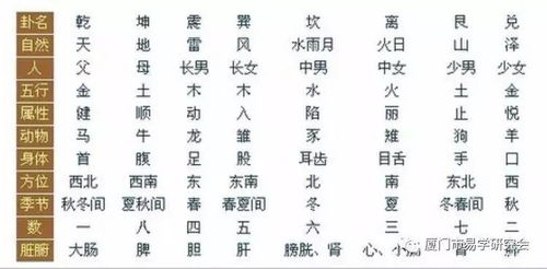 算八字的方法：算八字的方法，传统命理学的科学解析与实操指南