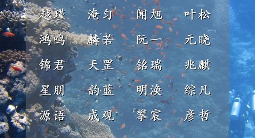 五行属金的名字：五行属金名字，刚柔并济的吉名指南
