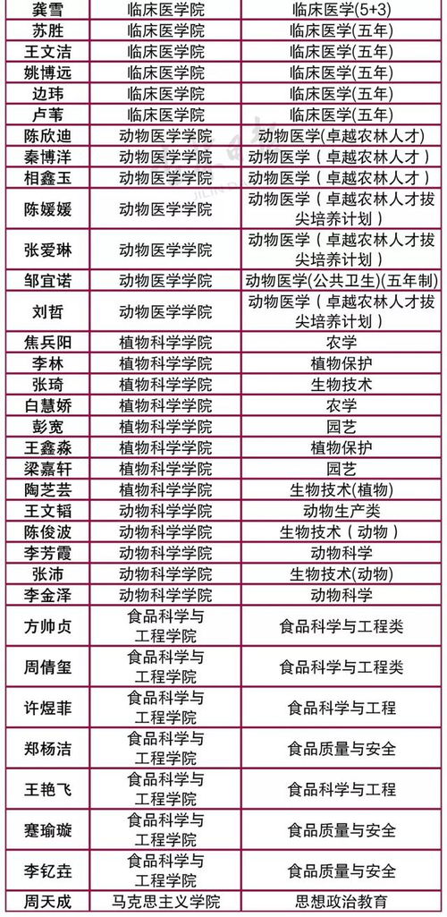 五行属金的名字：五行属金名字，刚柔并济的吉名指南