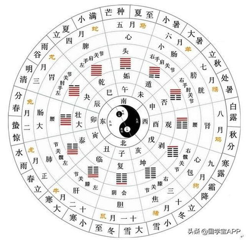 周易查五行：周易与五行，传统智慧中的时空密码解析—从卦象推演到五行平衡的实践指南