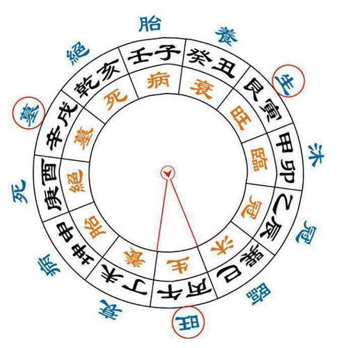 免费算生辰八字看命运和财运命：免费算生辰八字看命运财运，科学解读传统命理的实用指南