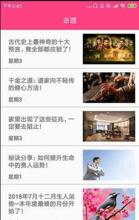 免费八字排盘解析：免费八字排盘解析，解锁你的命理密码，规划人生方向