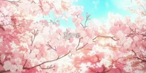 樱花动漫官方入门网（樱花动漫官方入门网站下载安装免费）