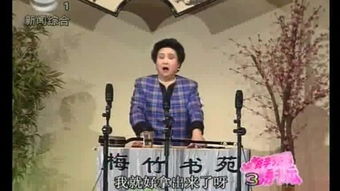 蒋云仙啼笑姻缘全集34：啼笑姻缘，蒋云仙的全集34，一场笑泪交织的民国情缘