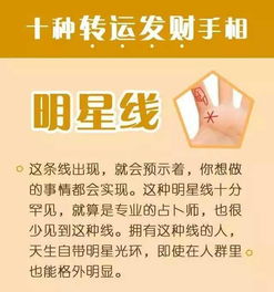 风水大师在线咨询免费：免费预约资深风水大师！在线化解运势危机，开启趋吉避凶新机遇