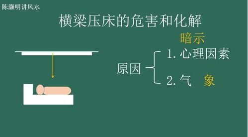 风水大师在线咨询免费：免费预约资深风水大师！在线化解运势危机，开启趋吉避凶新机遇