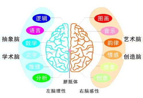 算宝宝五行缺什么：科学测算宝宝五行缺失，传统智慧与当代养育的融合指南