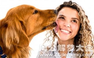 梦见狗咬自己左手好不好：梦见狗咬自己左手，解析梦境背后的隐喻与启示