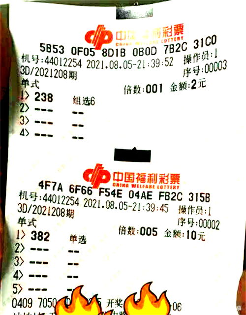 海南七星彩梦册查码解梦：海南七星彩梦册查码解梦，从梦境中解锁幸运密码