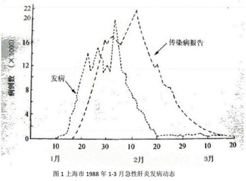 公历是什么意思：公历的定义、历史与全球影响，解析人类共同的时间坐标