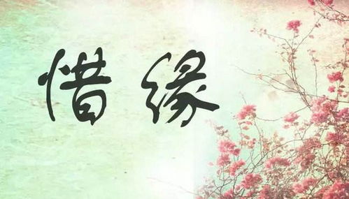 一世姻缘什么意思：一世姻缘，不只是婚姻，更是生命的承诺
