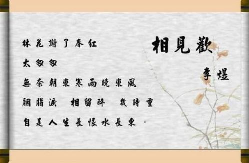 姻缘最可贵是什么意思：姻缘最可贵的是什么？论婚姻中的幸福与成长