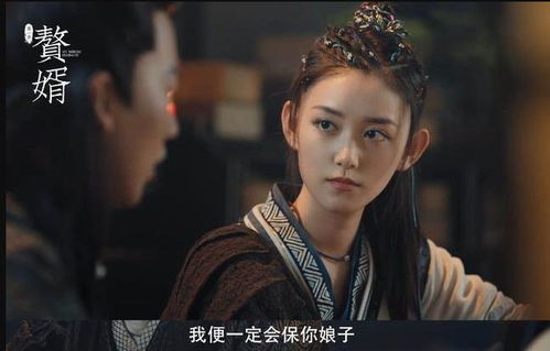 赘婿电视剧在线观看免费（赘婿电视剧在线观看免费西瓜）