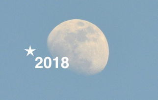 双鱼座今日运势水墨先生网：水墨氤氲映星途，双鱼座今日运势解析（水墨先生网）