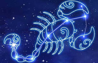 十二星座公认颜值排行：十二星座公认颜值排行，谁才是天生的美颜担当？科学+玄学双重验证